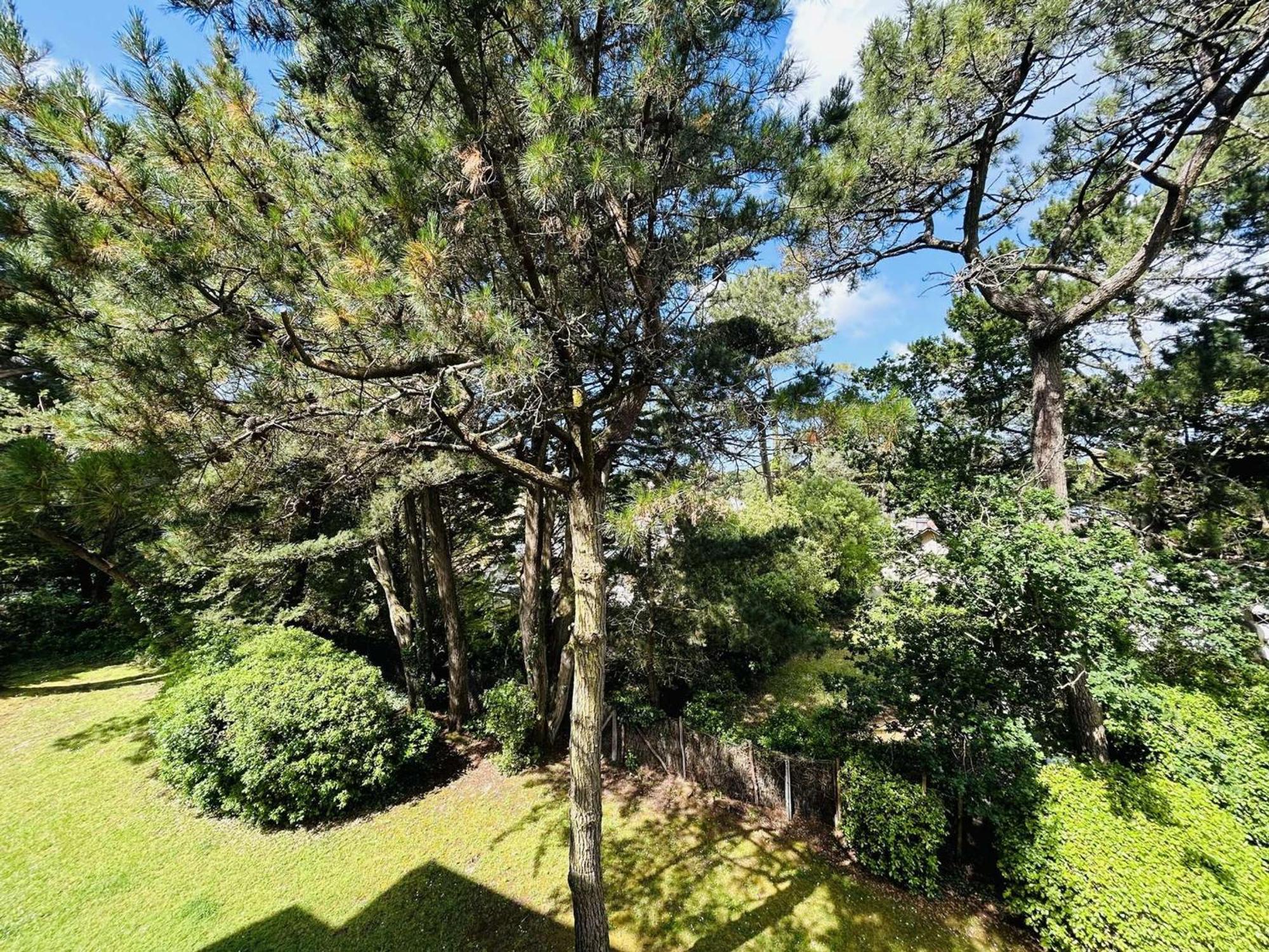 Lumineux Proche Avec Terrasse - Les Pins - Fr-1-245-203 Appartement
